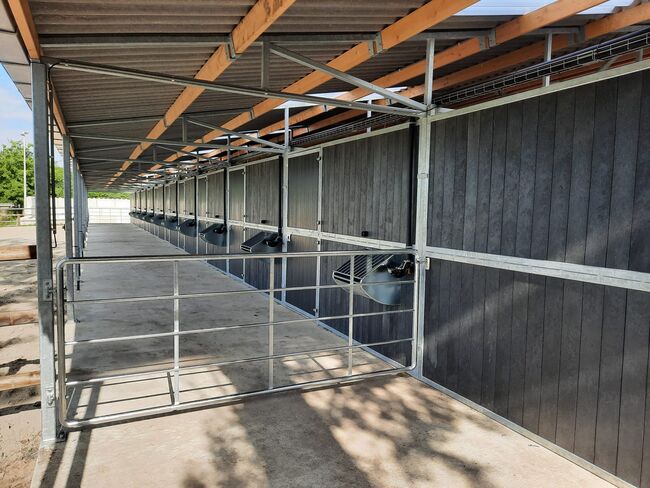 Pferdeboxen, NE Staalbouw, Horse Stables, Veendam, Image 12