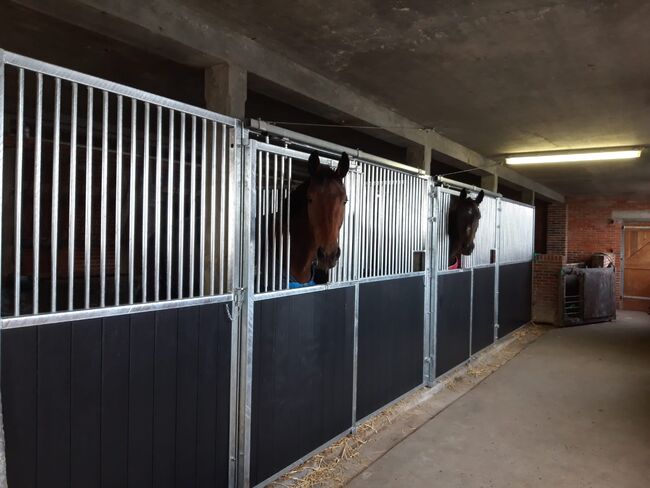 Pferdeboxen, NE Staalbouw, Horse Stables, Veendam, Image 16