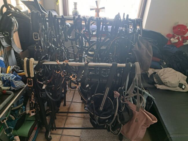 PFERDEFLOHMARKT alles 20%, Wellendorf Marina, Sattelgurte, Grünstadt , Abbildung 2
