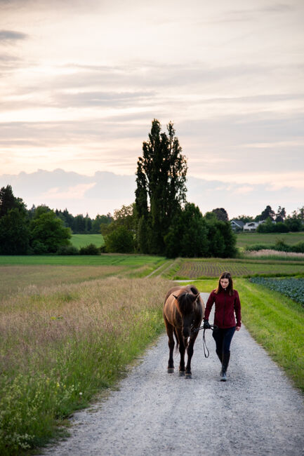 Pferdefotografie, Dolores, Horse photography, Nänikon, Image 2
