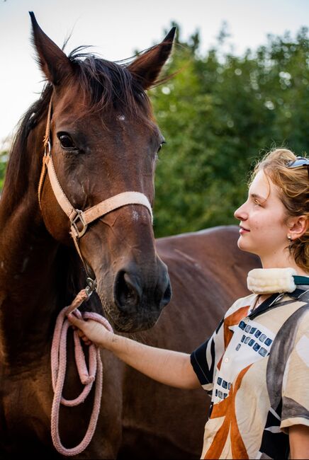 Pferdefotografie, Dolores, Horse photography, Nänikon, Image 7