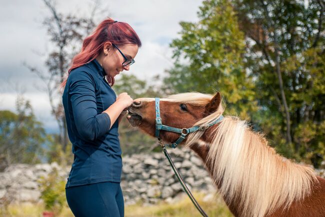 Pferdefotografie, Dolores, Horse photography, Nänikon, Image 8