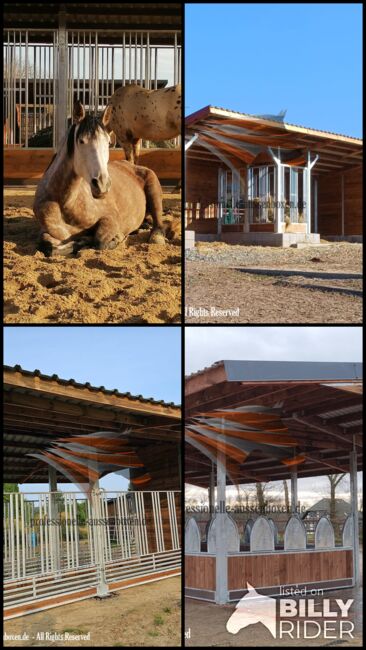 Pferdehaltung Top - Pferdefutter, Heuraufe, Pferderaufe & Futterraufe | Offenstall mit Fressgitter, AUSSENBOXEN Heuraufe | Pferderaufe | Futterraufe | Offenstall mit Fressgitter, AUSSENBOXEN (AUSSENBOXEN), Horse Feed & Supplements, Wałcz, Image 31
