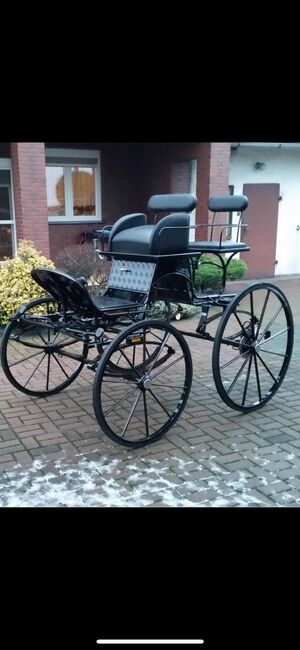 Horse - drawn carriages, XXX Spider 170kg, MARCIN, Kutschen, Krobia