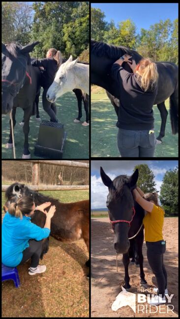Pferdephysiotherapie/ massage für Pferde, Daria, Therapie & Behandlung, Mering, Abbildung 6