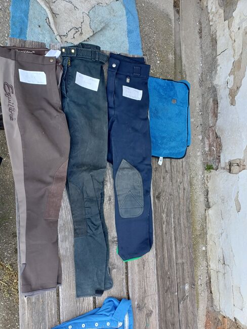 Pferdesachen, Reithose, Gamaschen..., Bernadette, Andere Pads, Bad Pirawarth, Abbildung 18
