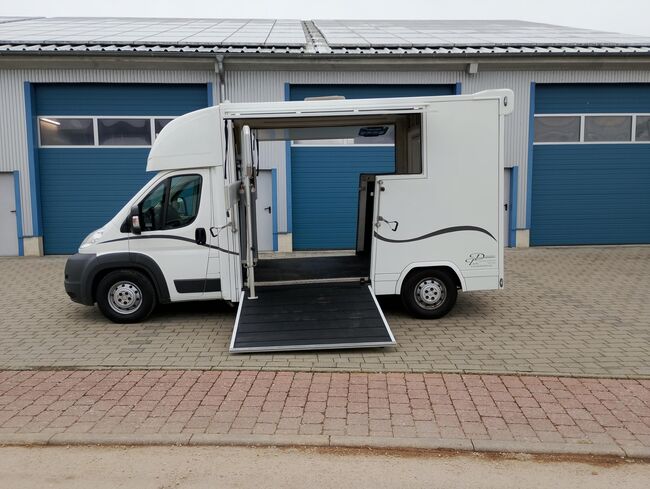 Pferdetransporter 2 Seitenrampen Nur 20500KM Viehtransporter Tiertransporter, Dickenherr Dickenherr 2 Ride , Gerhard Strobel (Dickenherr Trucks und Trailers), Pferdeanhänger, Baden-Württemberg - Unterschneidheim