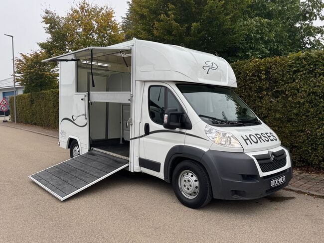 Pferdetransporter 2 Seitenrampen Nur 20500KM Viehtransporter Tiertransporter, Dickenherr Dickenherr 2 Ride , Gerhard Strobel (Dickenherr Trucks und Trailers), Pferdeanhänger, Baden-Württemberg - Unterschneidheim, Abbildung 8