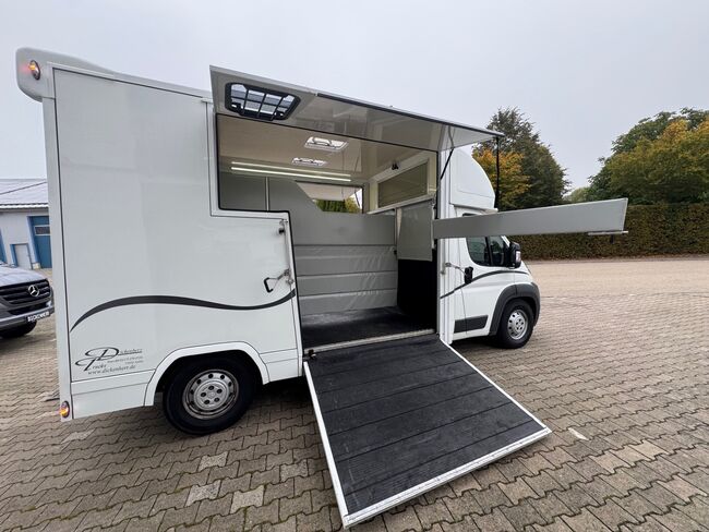 Pferdetransporter 2 Seitenrampen Nur 20500KM Viehtransporter Tiertransporter, Dickenherr Dickenherr 2 Ride , Gerhard Strobel (Dickenherr Trucks und Trailers), Pferdeanhänger, Baden-Württemberg - Unterschneidheim, Abbildung 10