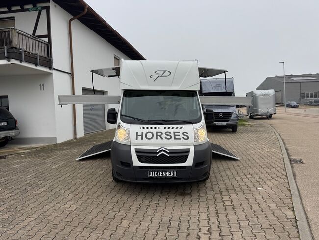 Pferdetransporter 2 Seitenrampen Nur 20500KM Viehtransporter Tiertransporter, Dickenherr Dickenherr 2 Ride , Gerhard Strobel (Dickenherr Trucks und Trailers), Pferdeanhänger, Baden-Württemberg - Unterschneidheim