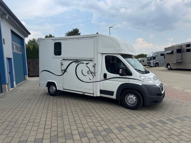 Pferdetransporter Citroen  2 Seitenrampen 180 PS Viehtransporter, Citroen Jumper Dickenherr 2 Ride , Gerhard Strobel (Dickenherr Trucks und Trailers), Pferdeanhänger, Baden-Württemberg - Unterschneidheim, Abbildung 3