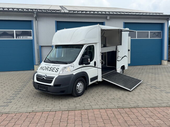 Pferdetransporter Citroen  2 Seitenrampen 180 PS Viehtransporter, Citroen Jumper Dickenherr 2 Ride , Gerhard Strobel (Dickenherr Trucks und Trailers), Pferdeanhänger, Baden-Württemberg - Unterschneidheim, Abbildung 19
