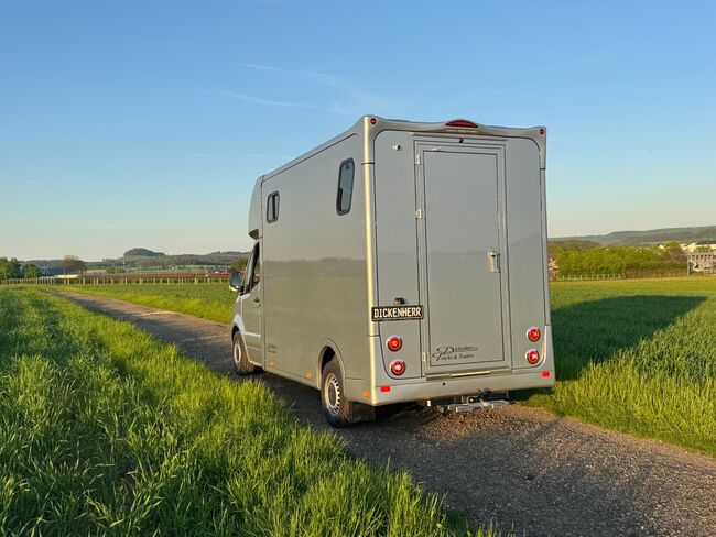 Pferdetransporter Dickenherr2-Ride Mercedes Automatik Neufahrzeug, Dickenherr Dickenherr 2 Ride Mercedes, Gerhard Strobel (Dickenherr Trucks und Trailers), Pferdeanhänger, Baden-Württemberg - Unterschneidheim, Abbildung 5