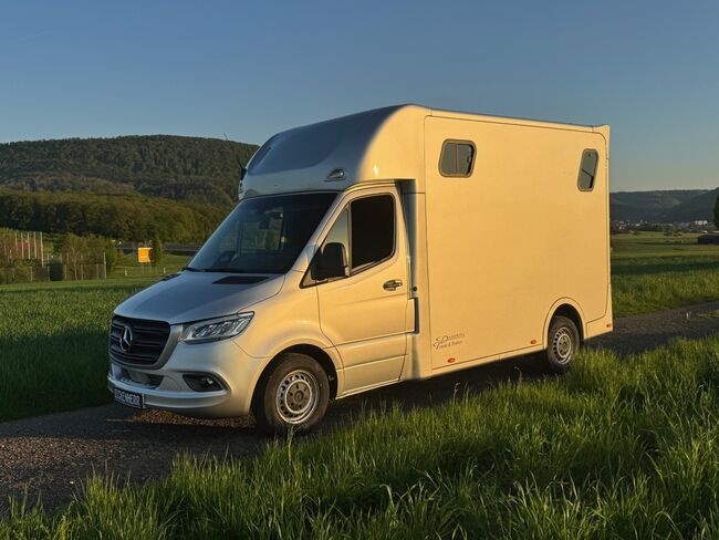 Pferdetransporter Dickenherr2-Ride Mercedes Automatik Neufahrzeug, Dickenherr Dickenherr 2 Ride Mercedes, Gerhard Strobel (Dickenherr Trucks und Trailers), Pferdeanhänger, Baden-Württemberg - Unterschneidheim, Abbildung 2