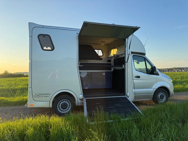 Pferdetransporter Dickenherr2-Ride Mercedes Automatik Neufahrzeug, Dickenherr Dickenherr 2 Ride Mercedes, Gerhard Strobel (Dickenherr Trucks und Trailers), Pferdeanhänger, Baden-Württemberg - Unterschneidheim, Abbildung 7