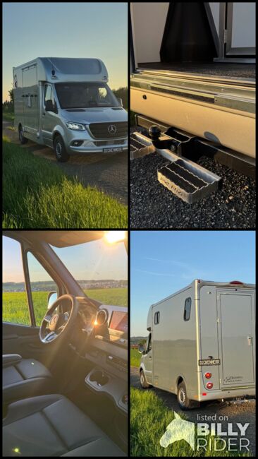 Pferdetransporter Dickenherr2-Ride Mercedes Automatik Neufahrzeug, Dickenherr Dickenherr 2 Ride Mercedes, Gerhard Strobel (Dickenherr Trucks und Trailers), Pferdeanhänger, Baden-Württemberg - Unterschneidheim, Abbildung 18