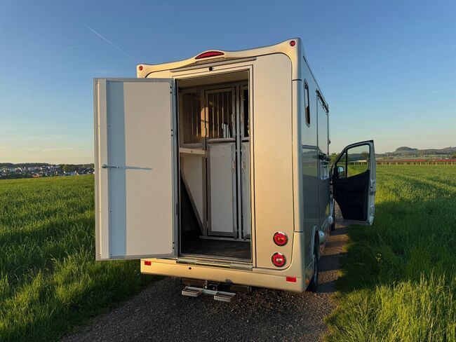 Pferdetransporter Dickenherr2-Ride Mercedes Automatik Neufahrzeug, Dickenherr Dickenherr 2 Ride Mercedes, Gerhard Strobel (Dickenherr Trucks und Trailers), Pferdeanhänger, Baden-Württemberg - Unterschneidheim, Abbildung 12