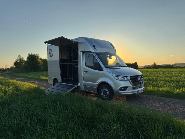 Pferdetransporter Dickenherr2-Ride Mercedes Automatik Neufahrzeug, Dickenherr Dickenherr 2 Ride Mercedes, Gerhard Strobel (Dickenherr Trucks und Trailers), Pferdeanhänger, Baden-Württemberg - Unterschneidheim, Abbildung 13