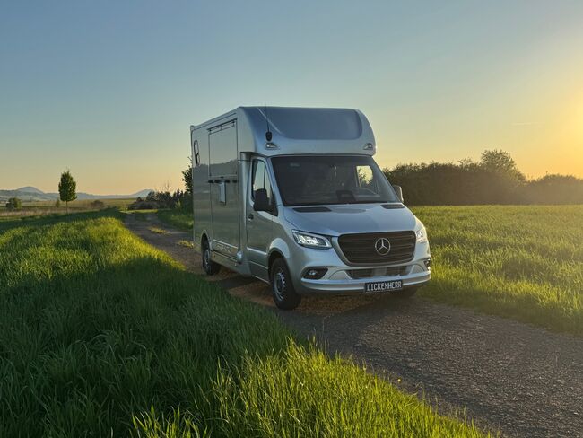 Pferdetransporter Dickenherr2-Ride Mercedes Automatik Neufahrzeug, Dickenherr Dickenherr 2 Ride Mercedes, Gerhard Strobel (Dickenherr Trucks und Trailers), Pferdeanhänger, Baden-Württemberg - Unterschneidheim