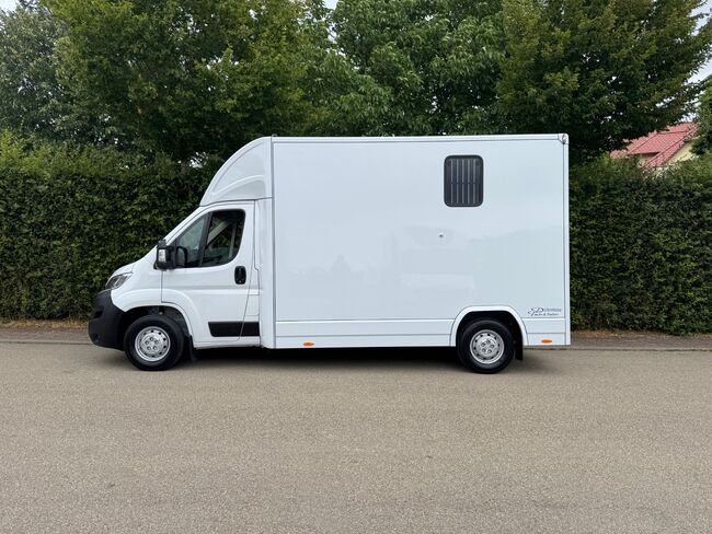 Pferdetransporter DT 2- Ride Light 3,5t Neufahrzeug Klima Viehtransporter, Dickenherr Citroen Light Dickenherr 2 Ride light, Gerhard Strobel (Dickenherr Trucks und Trailers), Pferdeanhänger, Baden-Württemberg - Unterschneidheim, Abbildung 16