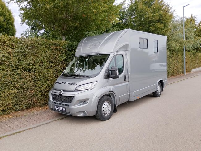 Pferdetransporter DT Citroen Jumper Hengstausstattung 165PS Klima Viehtransporter, Dickenherr Dickenherr 2 Ride , Gerhard Strobel (Dickenherr Trucks und Trailers), Pferdeanhänger, Baden-Württemberg - Unterschneidheim, Abbildung 4