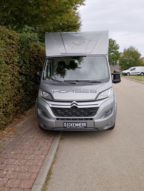 Pferdetransporter DT Citroen Jumper Hengstausstattung 165PS Klima Viehtransporter, Dickenherr Dickenherr 2 Ride , Gerhard Strobel (Dickenherr Trucks und Trailers), Pferdeanhänger, Baden-Württemberg - Unterschneidheim, Abbildung 3