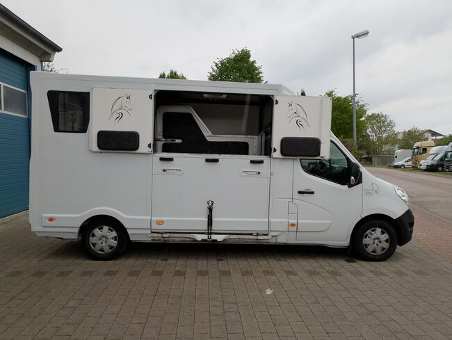 Pferdetransporter Renault 3,5t Hengstausstattung Viehtransporter, Renault Master Renault Master Hengst, Gerhard Strobel (Dickenherr Trucks und Trailers), Pferdeanhänger, Baden-Württemberg - Unterschneidheim, Abbildung 5