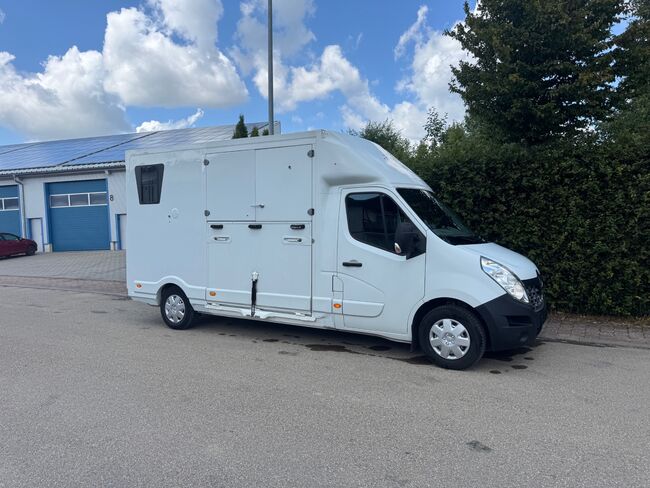 Pferdetransporter Renault 3,5t Hengstausstattung Viehtransporter, Renault Master Renault Master Hengst, Gerhard Strobel (Dickenherr Trucks und Trailers), Pferdeanhänger, Baden-Württemberg - Unterschneidheim, Abbildung 7