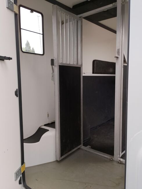 Pferdetransporter Renault 3,5t Hengstausstattung Viehtransporter, Renault Master Renault Master Hengst, Gerhard Strobel (Dickenherr Trucks und Trailers), Pferdeanhänger, Baden-Württemberg - Unterschneidheim, Abbildung 9