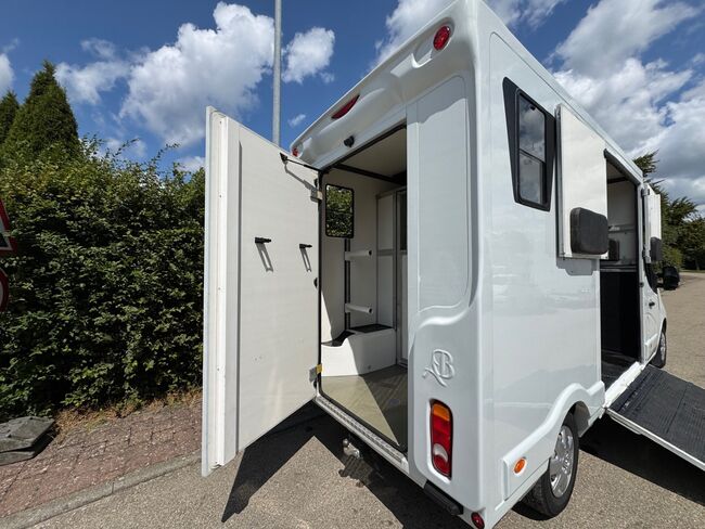 Pferdetransporter Renault 3,5t Hengstausstattung Viehtransporter, Renault Master Renault Master Hengst, Gerhard Strobel (Dickenherr Trucks und Trailers), Pferdeanhänger, Baden-Württemberg - Unterschneidheim, Abbildung 14