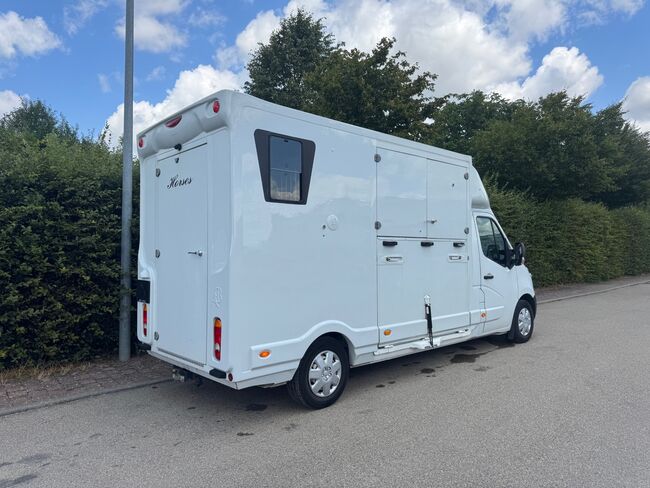 Pferdetransporter Renault 3,5t Hengstausstattung Viehtransporter, Renault Master Renault Master Hengst, Gerhard Strobel (Dickenherr Trucks und Trailers), Pferdeanhänger, Baden-Württemberg - Unterschneidheim, Abbildung 8