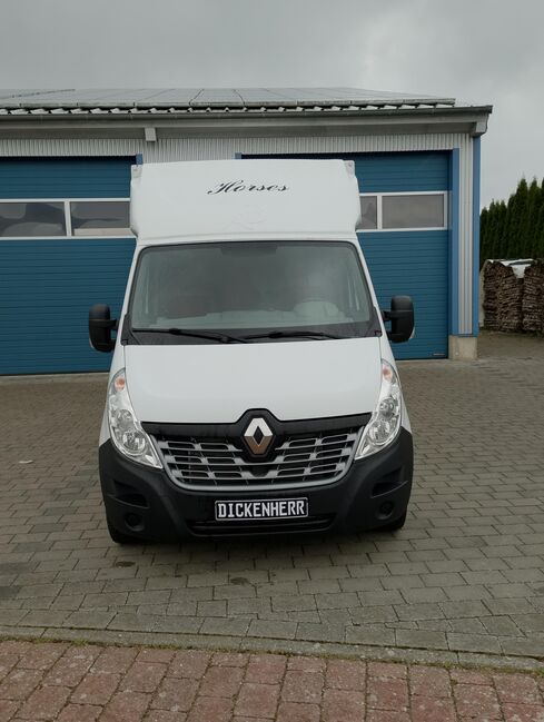 Pferdetransporter Renault 3,5t Hengstausstattung Viehtransporter, Renault Master Renault Master Hengst, Gerhard Strobel (Dickenherr Trucks und Trailers), Pferdeanhänger, Baden-Württemberg - Unterschneidheim, Abbildung 16