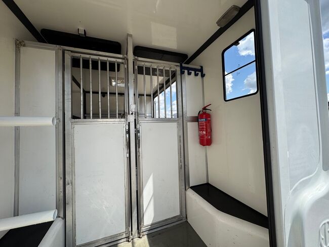 Pferdetransporter Renault 3,5t Hengstausstattung Viehtransporter, Renault Master Renault Master Hengst, Gerhard Strobel (Dickenherr Trucks und Trailers), Pferdeanhänger, Baden-Württemberg - Unterschneidheim, Abbildung 15
