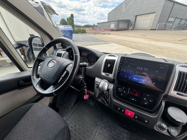 Pferdetransporter Theault Hengstausstattung Automatik 177PS, Fiat Theault Fiat Ducato Hengst, Gerhard Strobel (Dickenherr Trucks und Trailers), Pferdeanhänger, Baden-Württemberg - Unterschneidheim, Abbildung 9