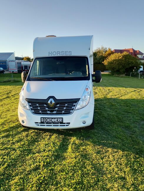 Pferdetransporter Tiertransporter Viehtransporter Nuyts Renault Master 80.000KM Klima, Renault Master Nuyts, Gerhard Strobel (Dickenherr Trucks und Trailers), Pferdeanhänger, Baden-Württemberg - Unterschneidheim, Abbildung 15