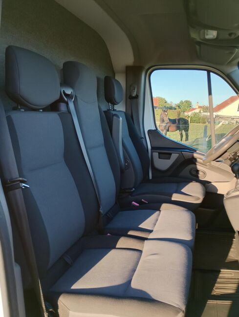 Pferdetransporter Tiertransporter Viehtransporter Nuyts Renault Master 80.000KM Klima, Renault Master Nuyts, Gerhard Strobel (Dickenherr Trucks und Trailers), Pferdeanhänger, Baden-Württemberg - Unterschneidheim, Abbildung 19