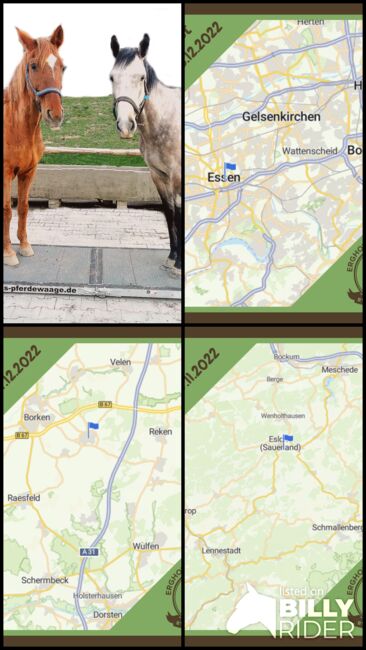Pferdewaage NRW - Terminübersicht - Pferdewaage in der Nähe, ErGho's Pferdewaage und Sole (ErGho's Pferdewaage und Sole), Sonstiges, Fröndenberg, Abbildung 10