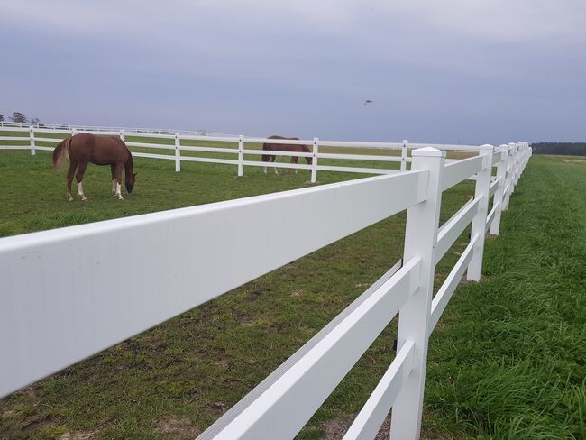 Vinyl Horse Fencing – Elegance, Safety and Durability, Pietrucha, Kamila , Reitplatz, Błaszki