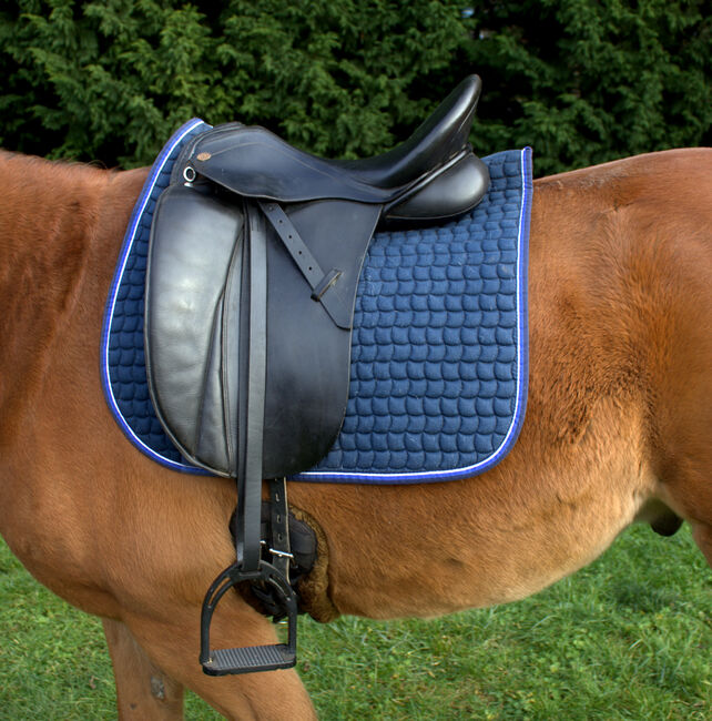 Pfiff Amaretto Dressursattel Ariane Telgen Sattel, Pfiff Amaretto, Jule, Dressage Saddle, Aschersleben
