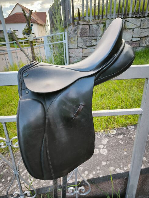 Pfiff Amaretto DS abzugeben!, Pfiff  Amaretto , Lange , Dressage Saddle, Breitungen