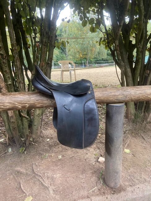 Pfiff Dressursattel 16,5 Zoll, Pfiff  Dressursattel, Alexa Horle , Dressage Saddle, Kriftel 