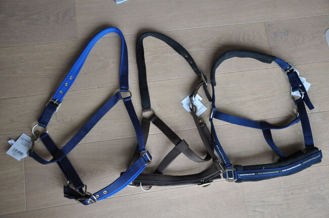 Pfiff Halfter Paket mit 3 Stück Gesamt Warmblut, Pfiff, Moni, Halters, Attenkirchen, Image 2