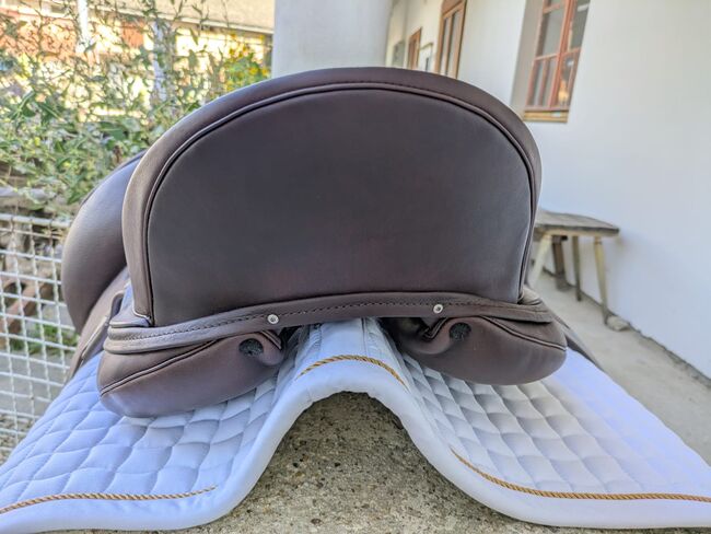 Philimar Champions League, Philimar  Champions League , Jasmin , Dressage Saddle, St.andrä wördern , Image 2