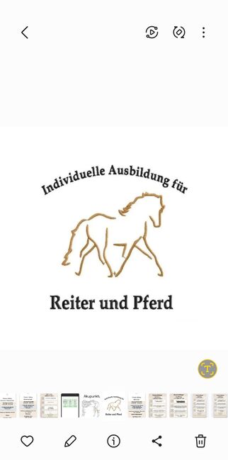 Physio-Riding® Seminare, Tanja Schneider, Courses & Seminars, Losheim Am See