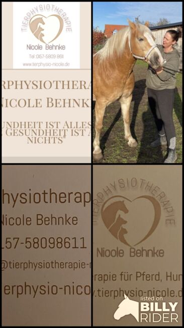Physiotherapie (Berlin/Brandenburg), Physiotherapie , Nicole Behnke  (Tierphysiotherapie Nicole), Therapie & Behandlung, Falkensee , Abbildung 5