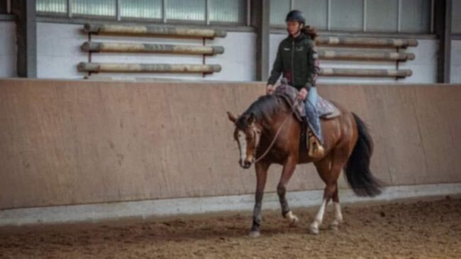 Wunderhübsche 7 jährige Paint Horse Stute sucht 5-Sterne Zuhause, Kerstin Rehbehn (Pferdemarketing Ost), Konie na sprzedaż, Nienburg, Image 5