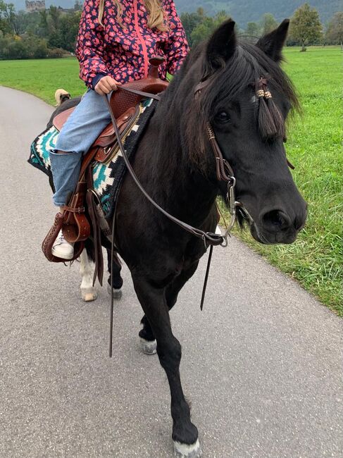 Wunderschöne Pony Stute zu Verkaufen, Lucy, Konie na sprzedaż, Flums, Image 5