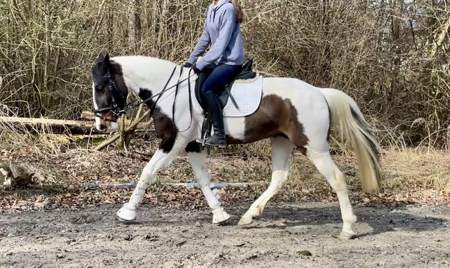 Beautiful Pinto Mare – Safe & Easy – Perfect Leisure Horse, F.L, Konie na sprzedaż, Würzburg