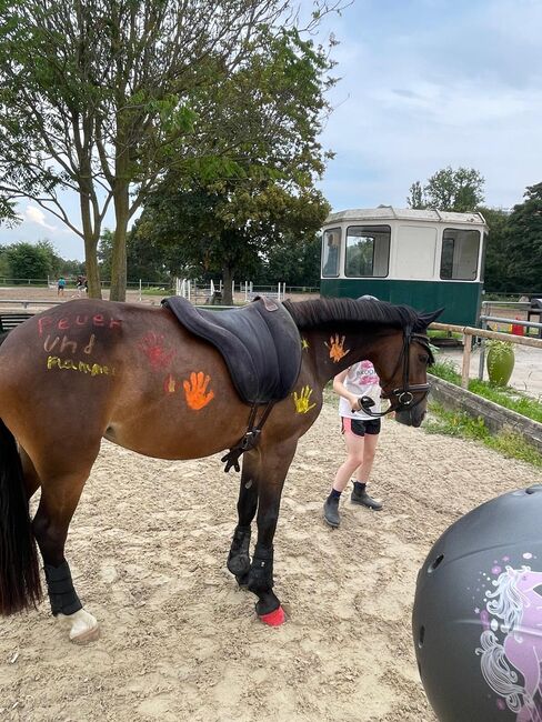 Bildschönes Kinderpony mit Ausnahmecharakter!, Summer Henkel, Konie na sprzedaż, Ingelheim am Rhein , Image 4