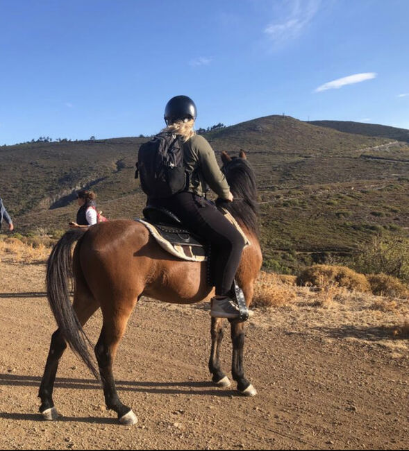 Wunderschöner Vollblut-Pony-Mix Wallach sucht zuhause, Anna, Konie na sprzedaż, Mytilini, Image 5